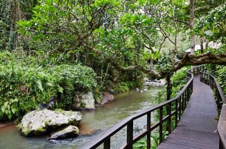 Maya Ubud Resort & Spa - Bali - Ubud