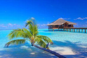 Medhufushi Island Resort - Maledivy - Atol Meemu