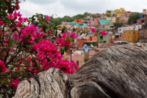 Mexiko a Guatemala domov Mayů, Aztéků i Olméků - Mexiko