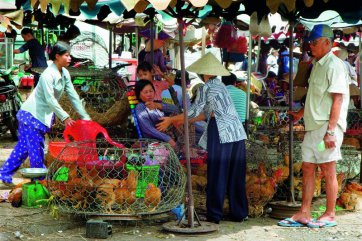 Miniokruh jižním Vietnamem - Vietnam - Ho Chi Minh City (Saigon)