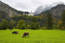 Mnichov, Bavorské zámky Ludvíka II. a majestátnost Alp - Německo