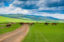 Mongolsko - poušť Gobi, Čingischán a divocí koně - Mongolsko