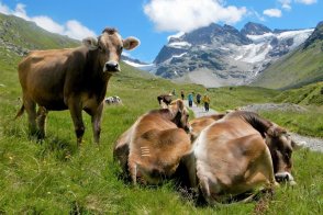 Montafon - perla západního Rakouska - Rakousko - Vorarlbersko