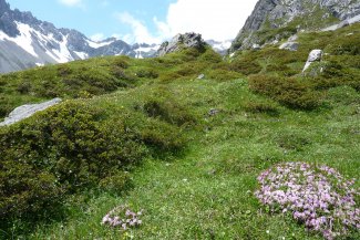 Montafon, rozkvetlá alpská zahrada - Rakousko - Vorarlbersko