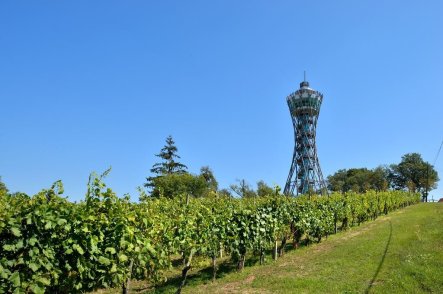 Moravské Toplice: Vivat Terme s výlety - Slovinsko