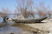 Moře a krásy Černé Hory s výletem do Albánie - Černá Hora