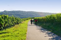 Mosela - krajem vína na kole i bruslích - Německo
