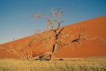 Namibie, Botswana, Zimbabwe, Zambie - Botswana