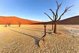NAMIBIE - VZPOMÍNKY NA AFRIKU - Namibie
