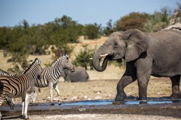 NAMIBIE - VZPOMÍNKY NA AFRIKU