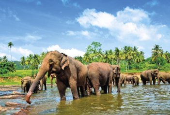 Napříč Srí Lankou s relaxem na východním pobřeží ostrova - Srí Lanka