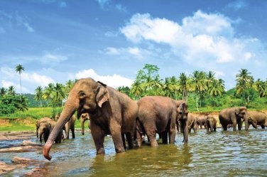 Napříč Srí Lankou s relaxem na východním pobřeží ostrova