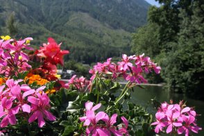 Narcisový festival v  Solné komoře - Rakousko