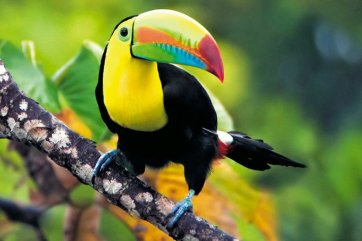 Nejen daňový ráj - Kostarika