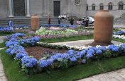 Nejkrásnější zahrady krajů Lazio a Umbrie, Den květin ve Viterbu - Itálie