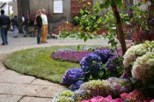 Nejkrásnější zahrady krajů Lazio a Umbrie, Den květin ve Viterbu - Itálie