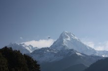 Nepál: Divoká zvířata ve stínu Himalájí - Nepál