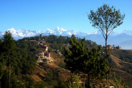 Nepál: Divoká zvířata ve stínu Himalájí
