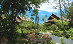 Nora Beach resort & Spa - Thajsko - Ko Samui - Chaweng Beach