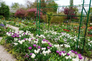 Normandie a Alabastrové pobřeží - Francie - Normandie