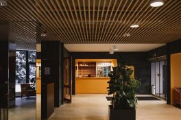 Hotel Ski - Česká republika - Českomoravská vrchovina