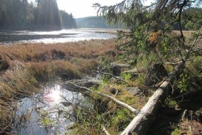 Novohradské hory na kole - Česká republika