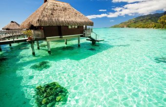 Nový Zéland a Moorea (Tahiti)