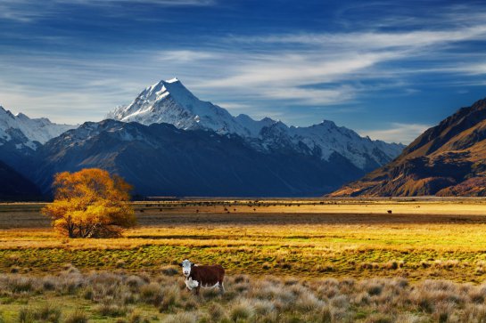 Nový Zéland a velká města Austrálie - Nový Zéland