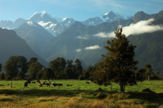 Nový Zéland - Austrálie - Nový Zéland