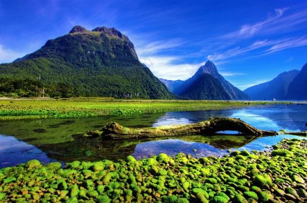 NOVÝ ZÉLAND - JIŽNÍ A SEVERNÍ OSTROV - Nový Zéland