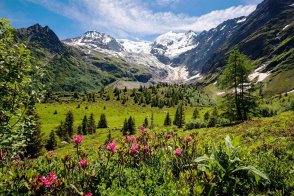 NP Gran Paradiso, údolí Aosta - turistika pod střechou Evropy - Itálie