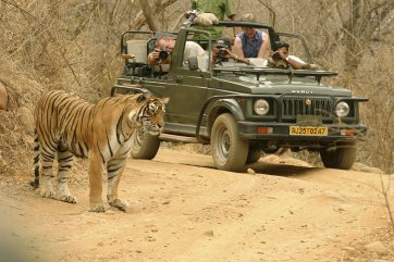 Objevování Indie a tygří safari v NP Corbett - Indie