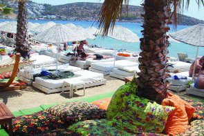 Okaliptus - Turecko - Bodrum - Bitez