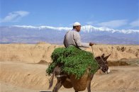 Okruh Marokem + výlet terénními auty do Sahary - Maroko