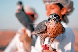 Okruh Ománem: Wyndham Garden Mirbat 11 Nocí - Omán