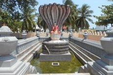 OKRUH SEVER / WASKADUWA    (HOTELY 3* / CITRUS WASKADUWA   5*) - Srí Lanka - Kalutara