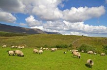 Okruh Severním Irskem a NP Connemara, mýtické Údolí králů, Dublin - Irsko