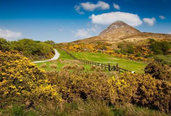 Okruh Severním Irskem a NP Connemara, mýtické Údolí králů, Dublin - Irsko