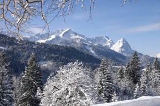 Olympijský běh na lyžích - Německo