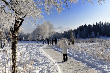 Olympijský běh na lyžích - Německo