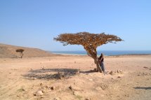 Omán, země sultána Qábúse - Omán