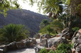 Omán - země pohádek 1001 nocí - Omán