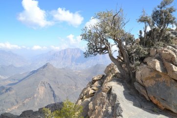 Omán, země sultána Qábúse - Omán