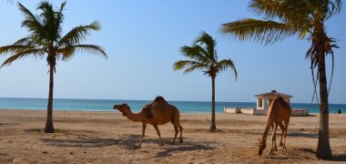 Omán, země sultána Qábúse