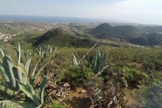 Opravdová Gran Canaria - Kanárské ostrovy - Gran Canaria