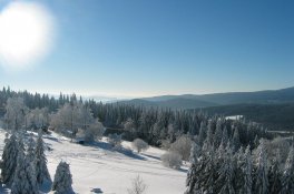 OREA Wellness hotel Horizont - Česká republika - Šumava - Železná Ruda