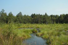 Ostrov Helgoland, německá hanzovní města UNESCO - Německo