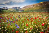 PALMOVÁ RIVIÉRA, KRAJ MARCHE A ABRUZZO - Itálie