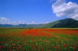 PALMOVÁ RIVIÉRA, KRAJ MARCHE A ABRUZZO - Itálie