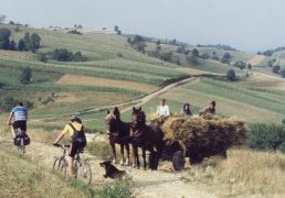 Panenskou přírodou rumunského Banátu, za českými krajany